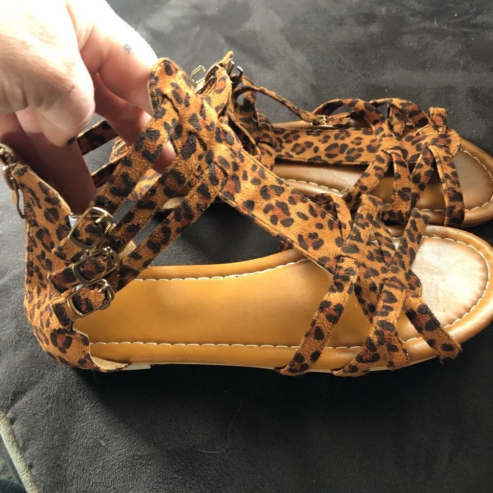 New never worn animal print buckle sandals. Side clasps . Zipper up the back.